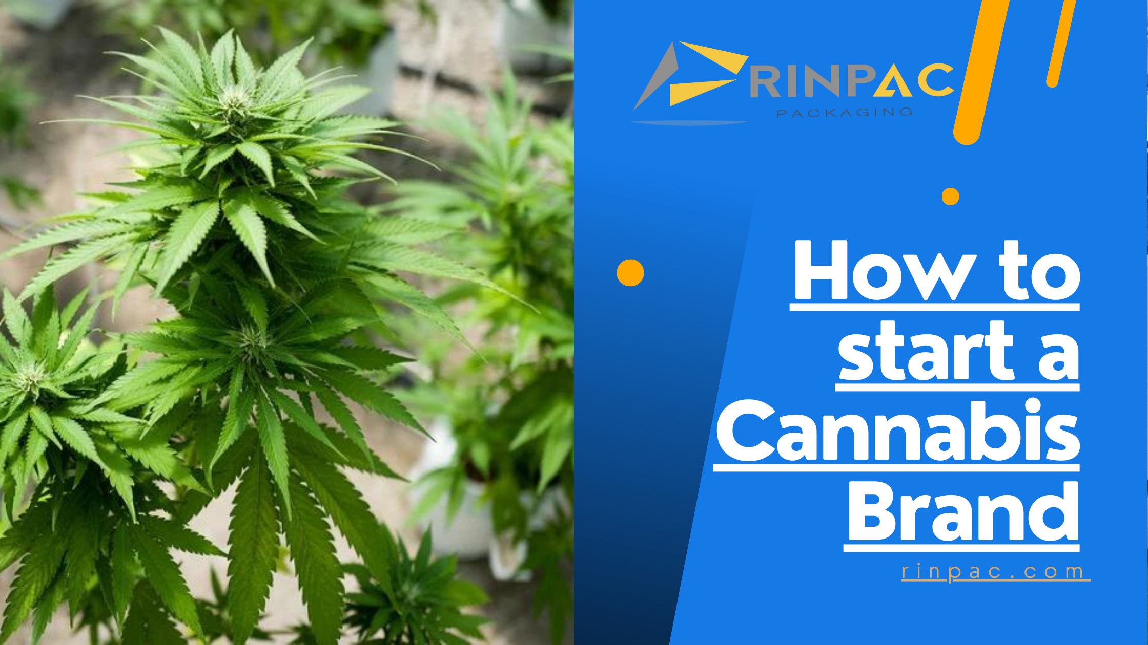 How to start a Cannabis Brand
